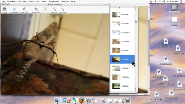 Creation of Spider trinket: Step 1